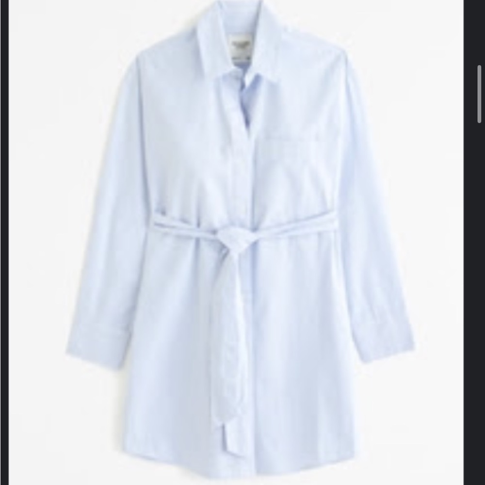 Relaxed Poplin Shirt Dress NWOT
